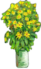 Bouquet de fleurs.
